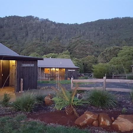 펭귄 Rustic Hut Bush Retreat B&B 외부 사진